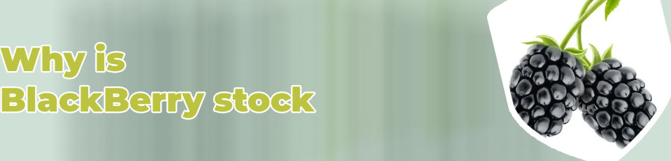 Blackberry stock