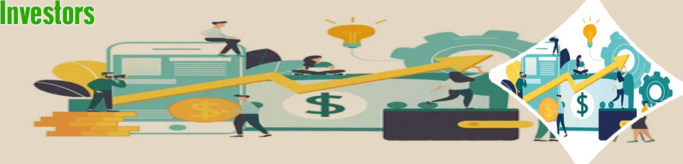 Investor startup platform