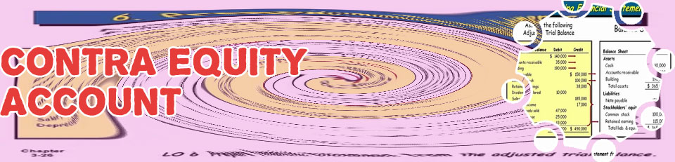 Shareholder receivable contra equity