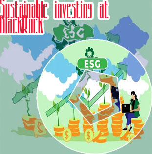 Sustainable investment companies