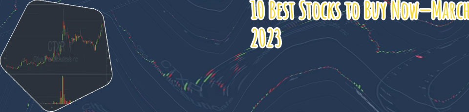 The best stocks to invest in right now