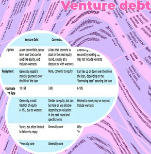 Typical venture debt terms